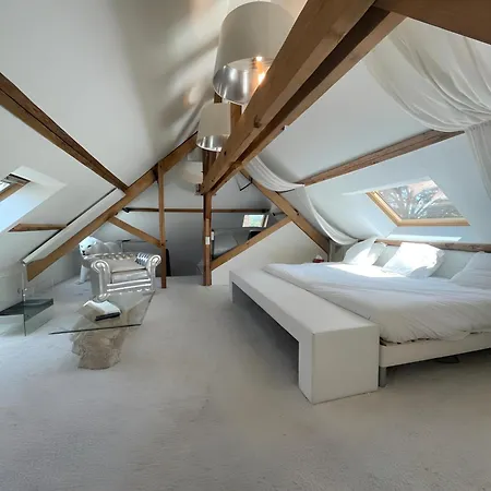 Domaine De La Belvaudiere - 22 Pers - Piscine - Luxe -reve Au Mans